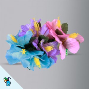 Pinza Hawaiana